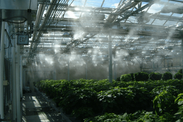 داربست فلزی در کارگاه ساختمانی