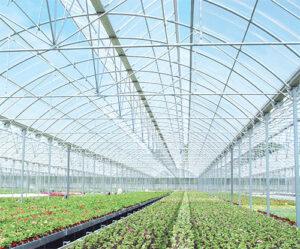 لوله گلخانه‌ای فولادی نصب‌شده در سازه کشاورزی