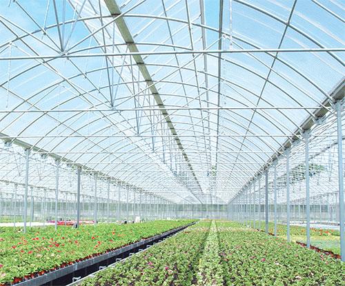 لوله گلخانه‌ای فولادی نصب‌شده در سازه کشاورزی