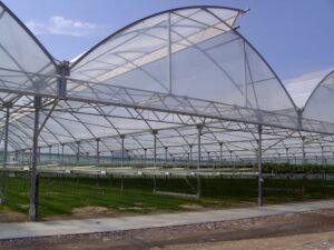 تصویر لوله‌های گالوانیزه مخصوص ساخت سازه گلخانه‌ای