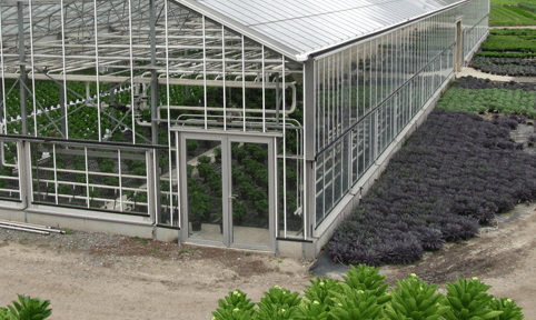 پروفیل گلخانهای